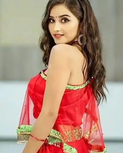 Call Girl Service in Ambur